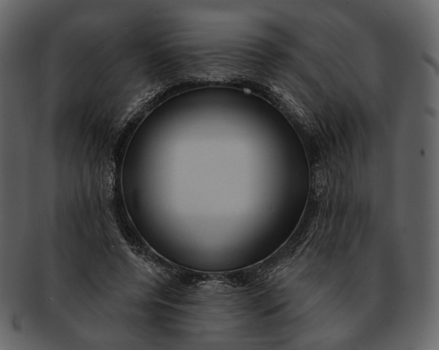 X0000093110544200710171225