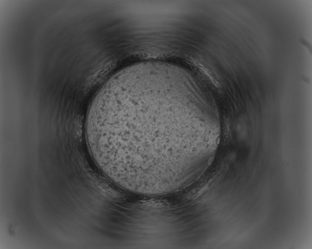 X0000093110545200710171225