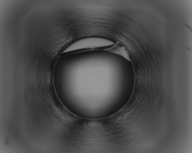 X0000093110546200710171225