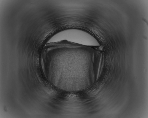 X0000093110547200710171225