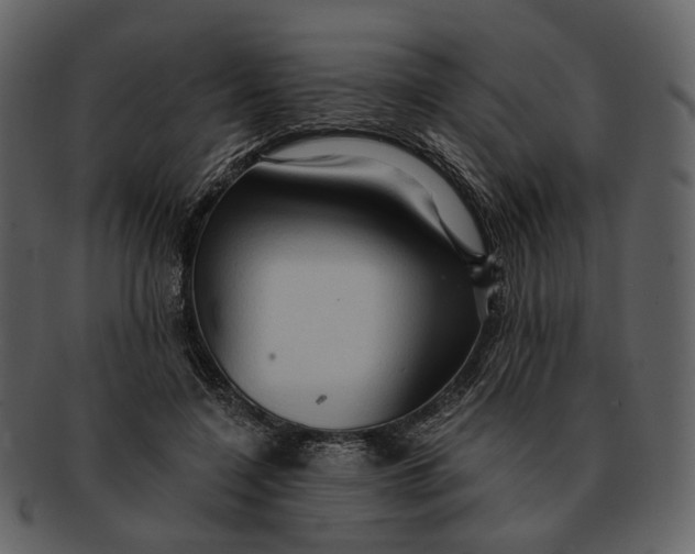 X0000093110548200710171225