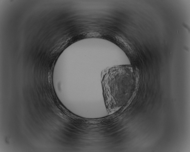 X0000093110549200710171225