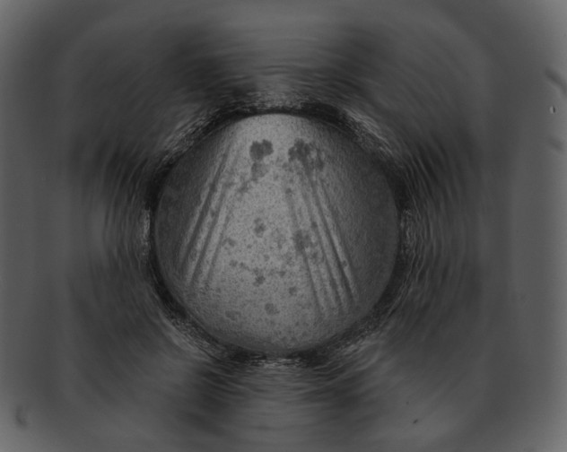 X0000093110550200710171225