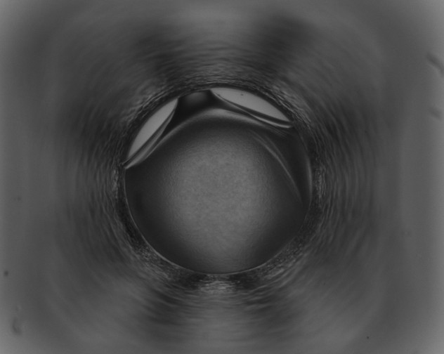 X0000093110551200710171225