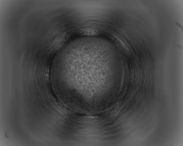 X0000093110553200710171225