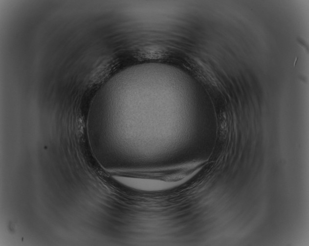 X0000093110555200710171225