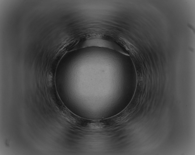 X0000093110556200710171225