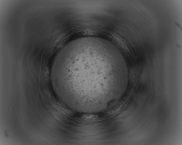 X0000093110557200710171225