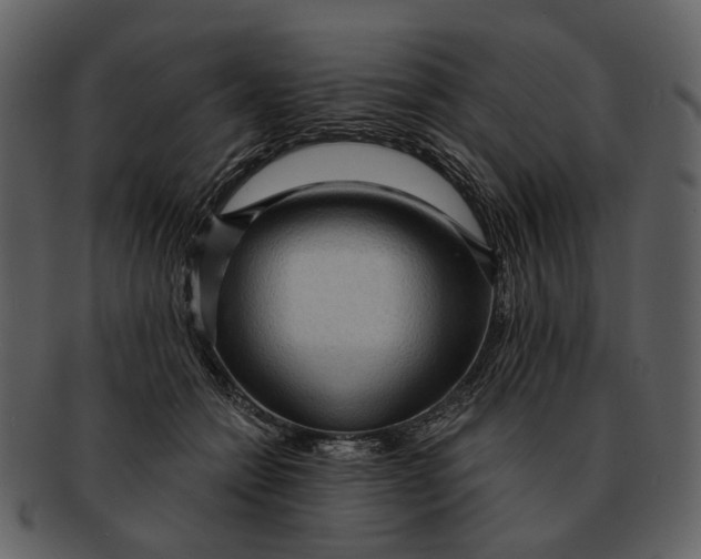 X0000093110558200710171225