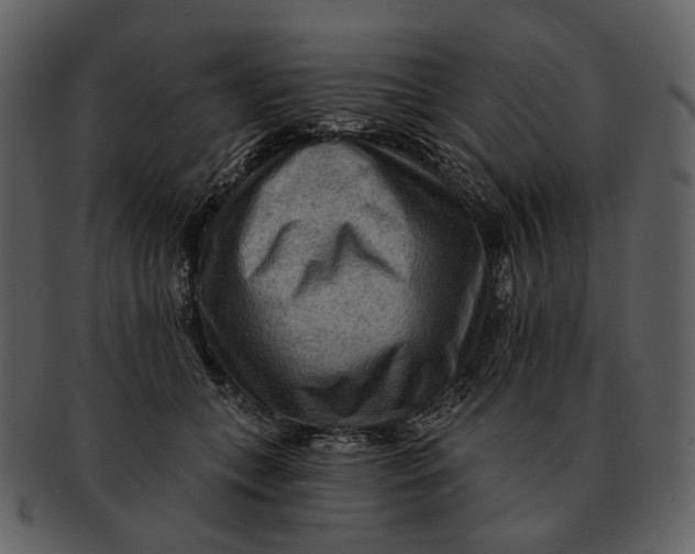 X0000093110559200710171225