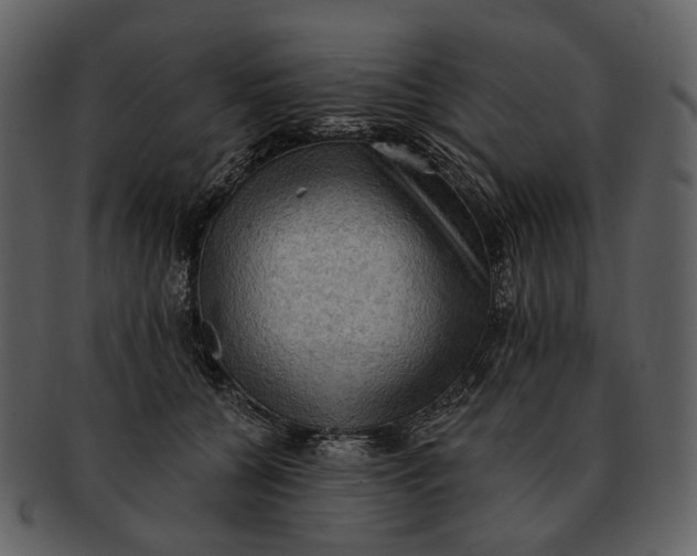 X0000093110560200710171225