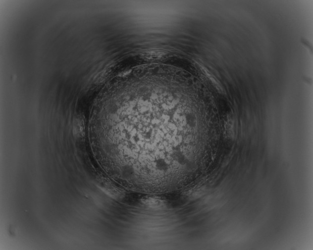 X0000093110561200710171225