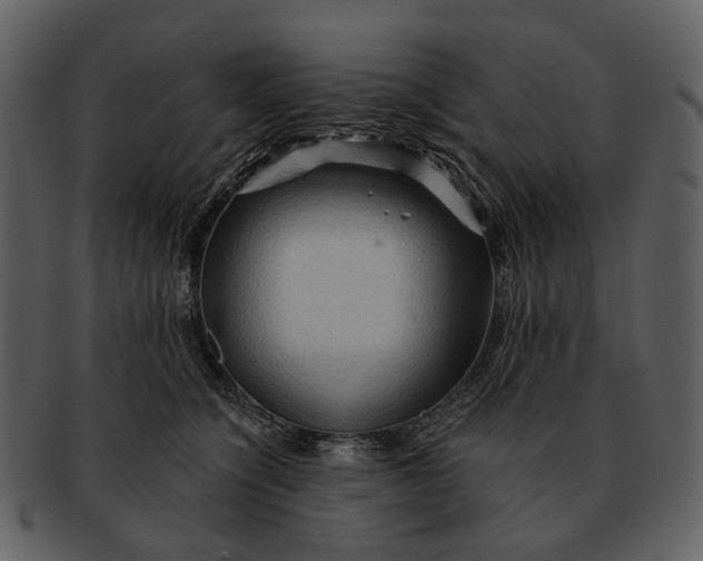 X0000093110564200710171225