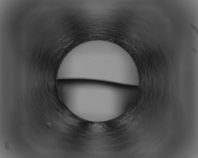 X0000093110566200710171225