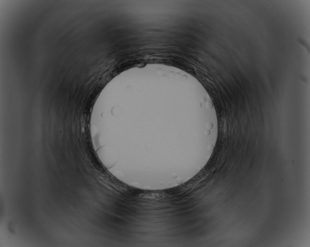 X0000093110567200710171225