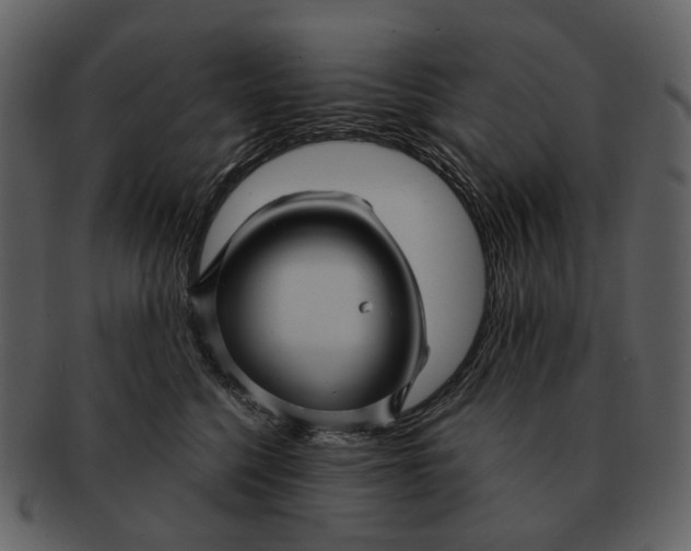 X0000093110568200710171225