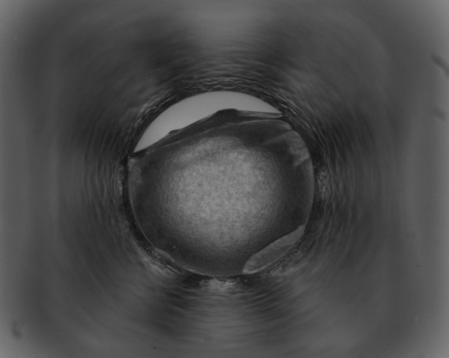 X0000093110570200710171225