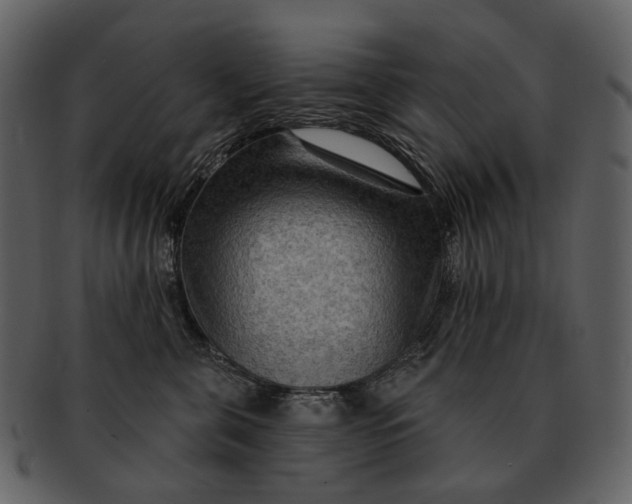 X0000093110571200710171225