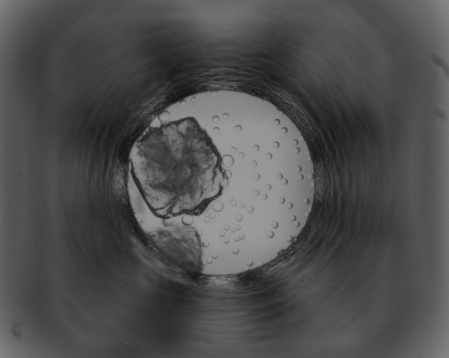 X0000093110573200710171225