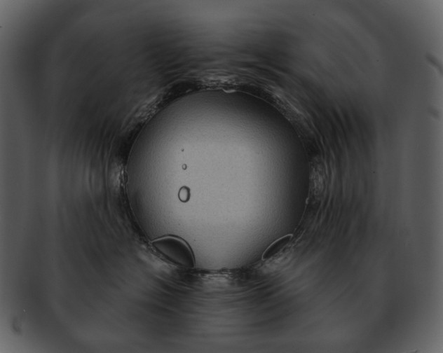 X0000093110574200710171225