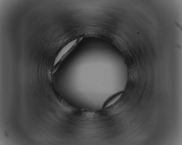 X0000093110575200710171225