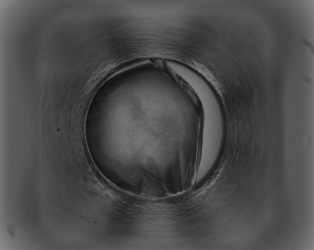 X0000093110577200710171225