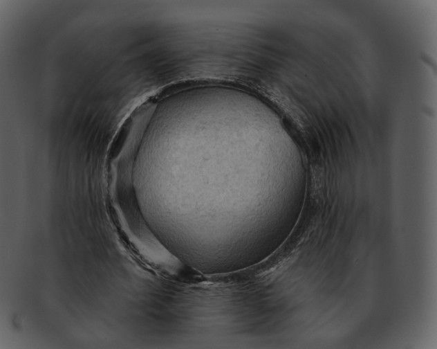 X0000093110580200710171225