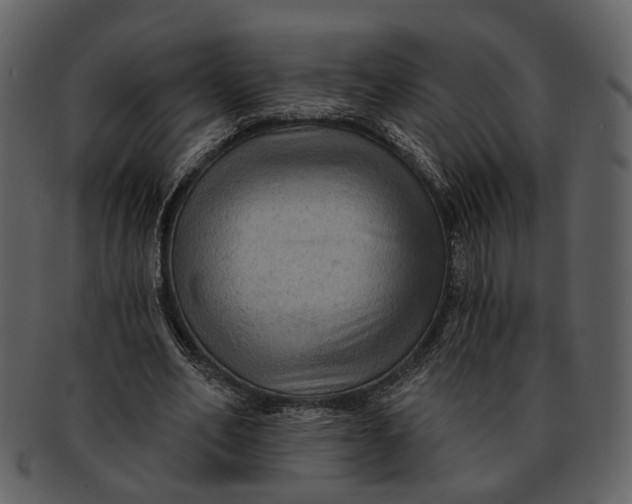 X0000093110582200710171224