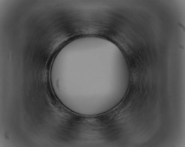 X0000093110583200710171224