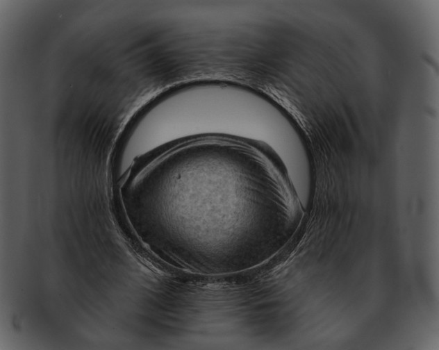 X0000093110584200710171224