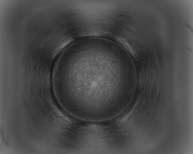 X0000093110585200710171224