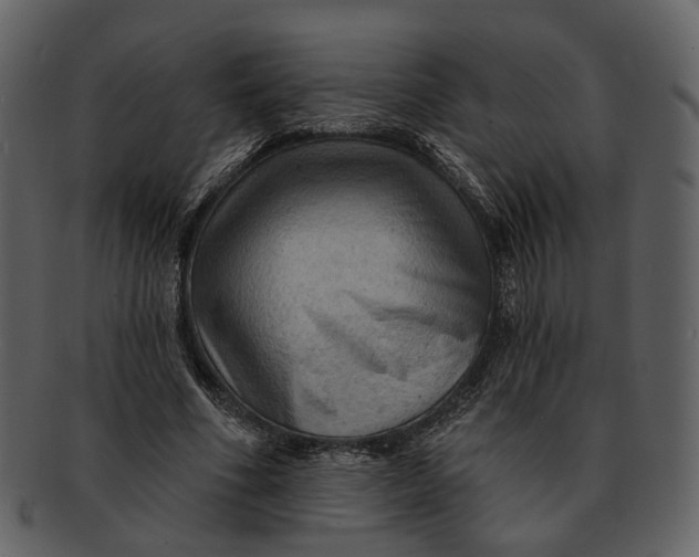 X0000093110586200710171224