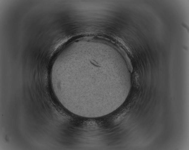 X0000093110588200710171224