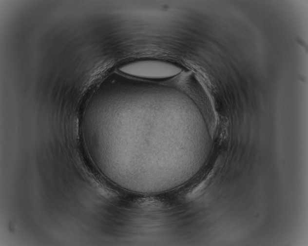 X0000093110589200710171224