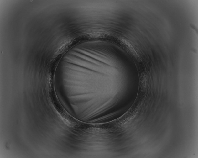 X0000093110590200710171224