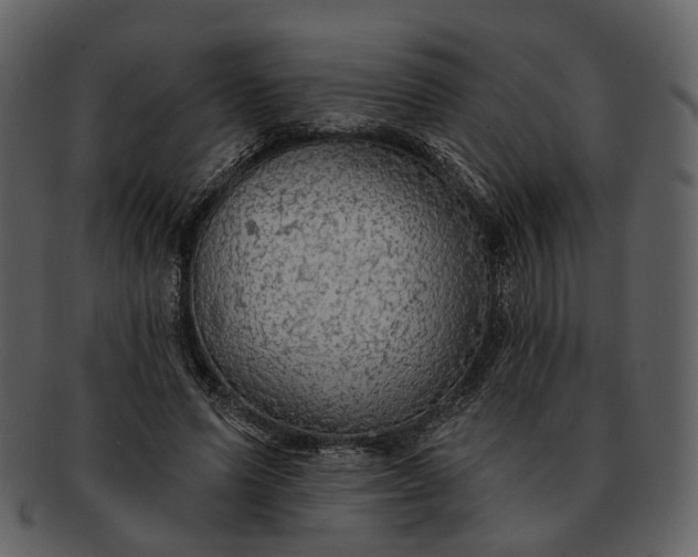 X0000093110591200710171224