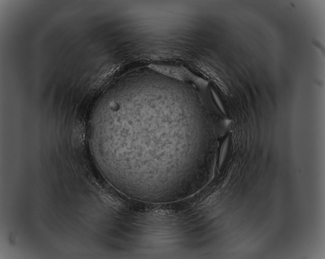 X0000093110593200710171224