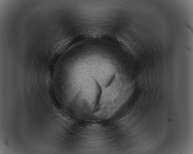 X0000093110594200710171224