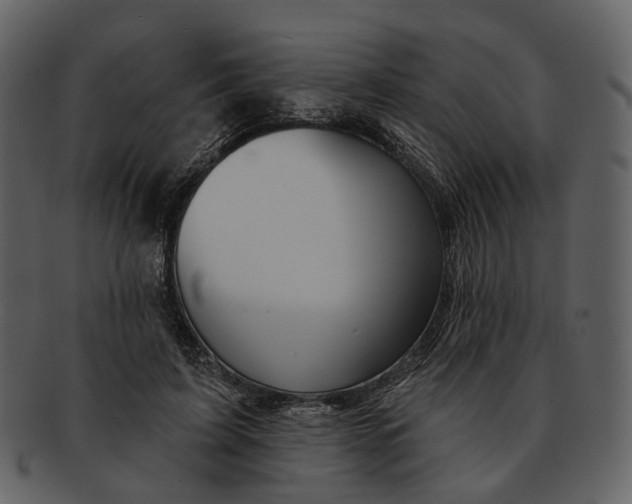 X0000093110595200710171224