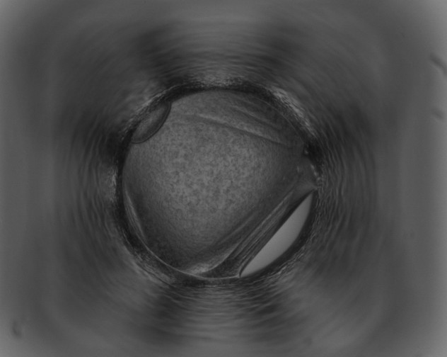 X0000093110596200710171224