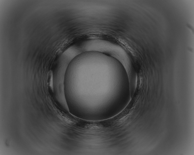 X0000093110597200710171224