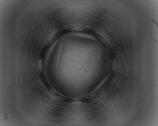 X0000093110598200710171224