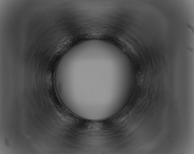 X0000093110599200710171224