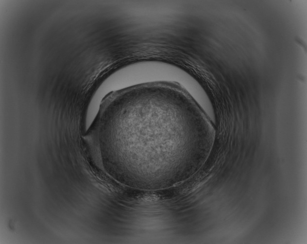 X0000093110600200710171224