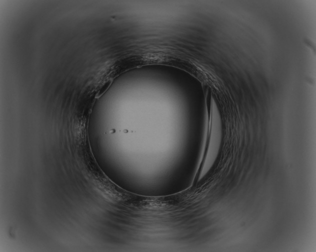 X0000093110601200710171224