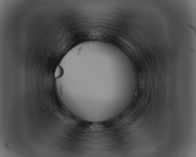 X0000093110603200710171224