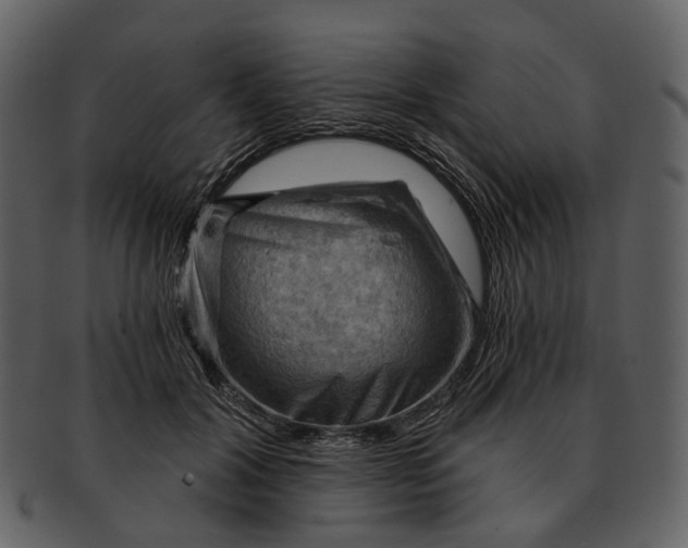 X0000093110604200710171224