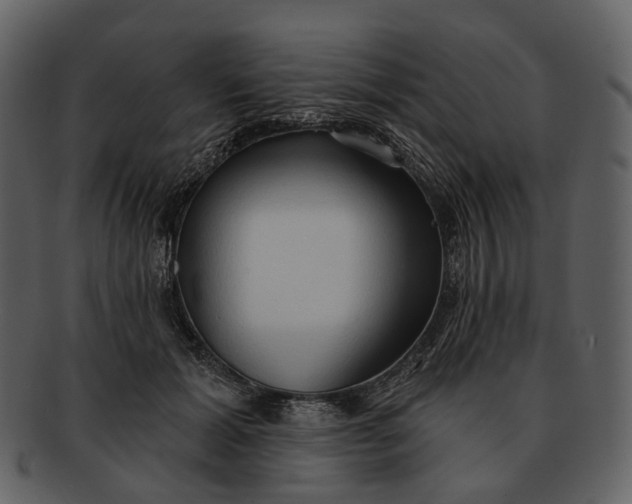 X0000093110605200710171224