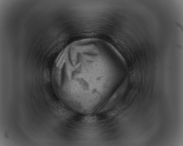 X0000093110606200710171224