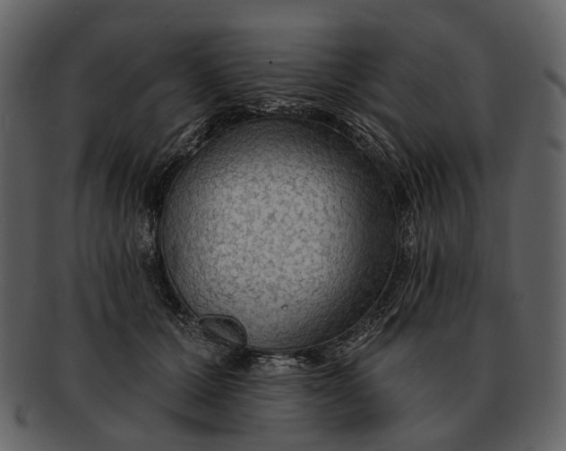 X0000093110607200710171224